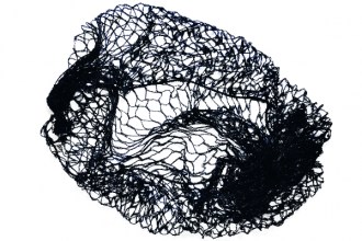 Hair Net