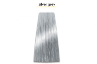 Prosalon Color Art Permanent Colour Cream Silver-Grey, 100g